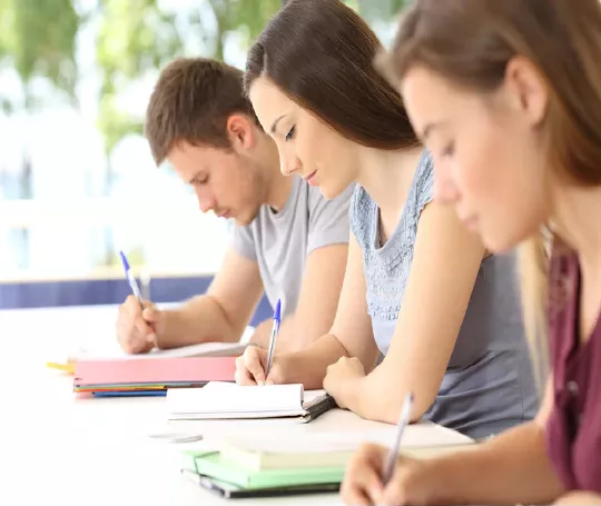 Máster en desarrollo académico y profesional