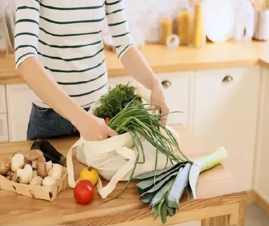 Dieta Vegetariana y Vegana: Guía de Bienestar