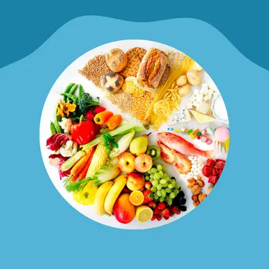 descuentos cursos nutricion