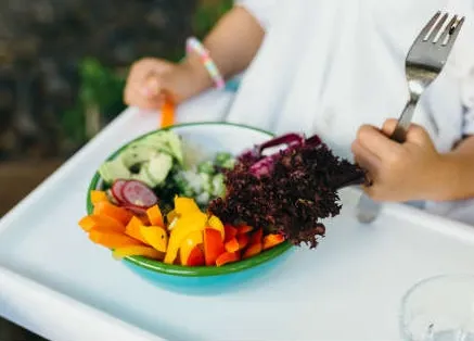 La densidad de nutrientes - nutricion