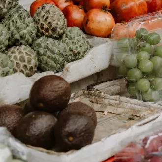 Curso nutricion holistica huelva - nutricion holistica