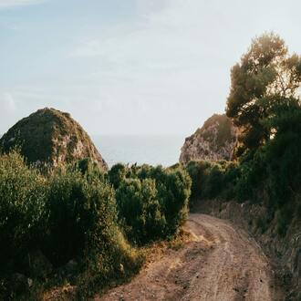 ¿cuál es la importancia de la fibra en la dieta de un endomorfo?