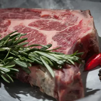 Beneficios y desafíos de la dieta carnívora - nutricion carnivora