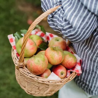 Consejo nutricional para mujeres embarazadas - nutricion