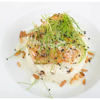 Curso de nutrición en el progreso mejora tu vida - nutricion