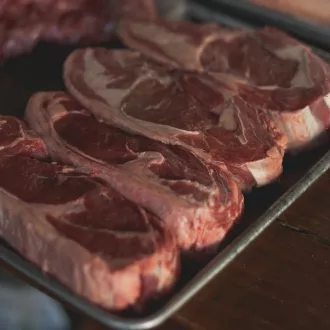 Curso nutricion carnivora huelva - nutricion carnivora