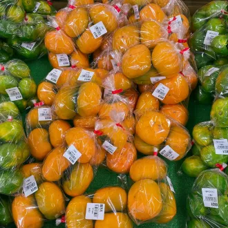 Curso nutricion geriatrica huelva - nutricion geriatrica