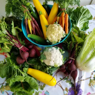 Curso nutricion vegetariana huelva - nutricion vegetariana