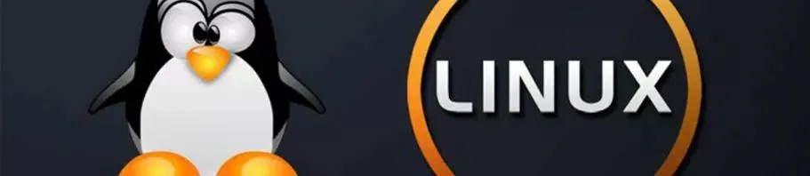 Curso online linux [ubuntu, debian, centos] - linux