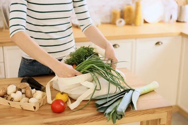 Curso online nutrición vegetariana y vegana - nutricion vegetariana