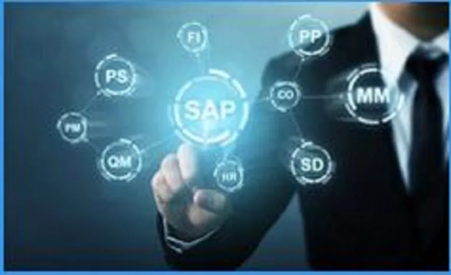 Curso online sap introducción - introduccion sap