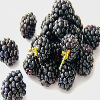 Geriatría y gerontología - nutricion geriatrica