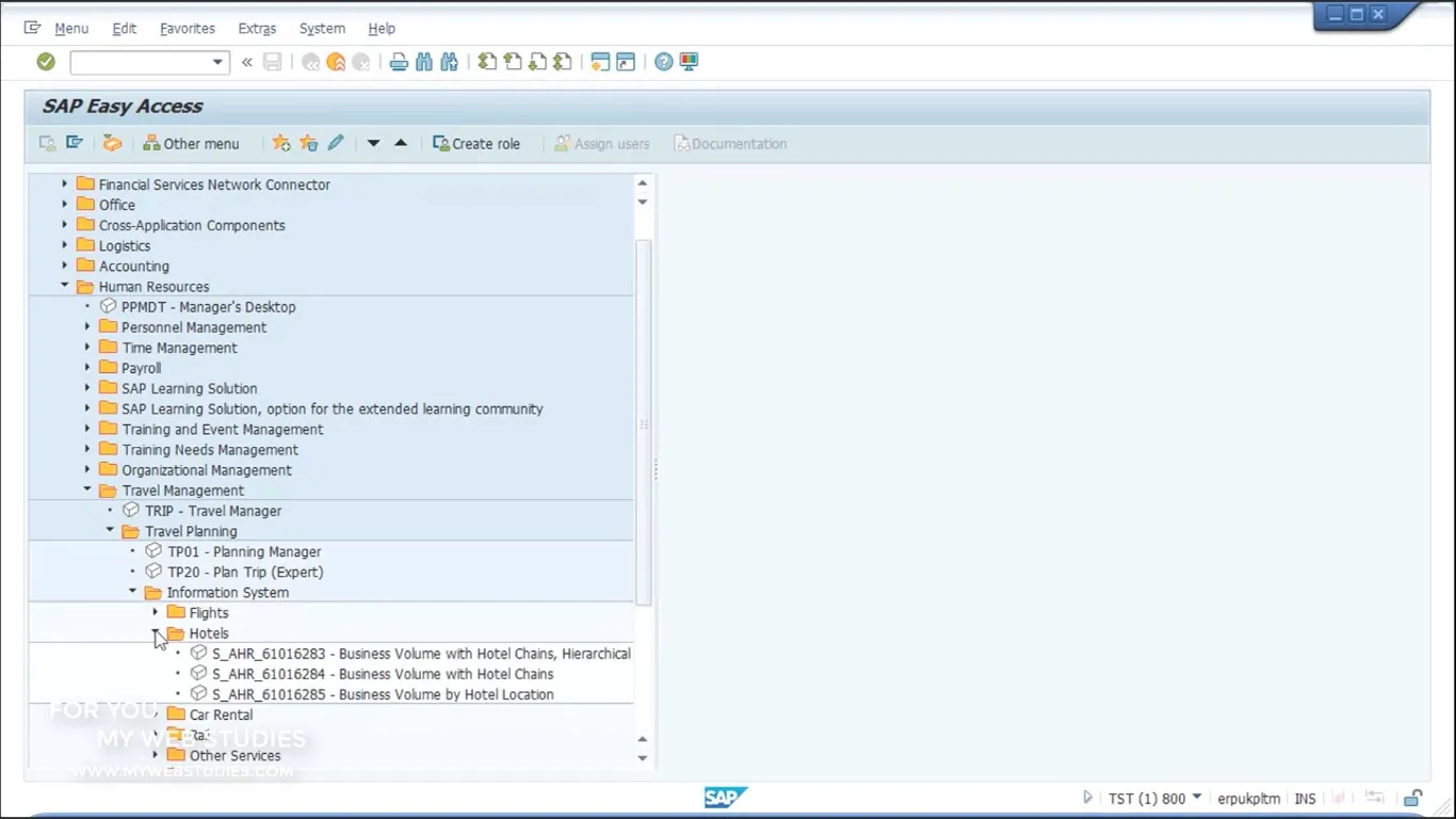 Gestión de viajes - hoteles en sap - introduccion sap