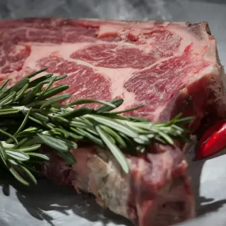 Impacto de la dieta carnívora en la digestión - nutricion carnivora