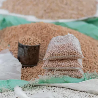 Los mejores alimentos vegetarianos para obtener proteínas - nutricion vegetariana