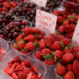 Los mejores superalimentos para una nutrición óptima - nutricion