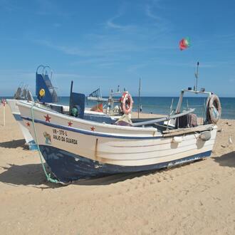 Suplementación vegana - nutricion vegetariana