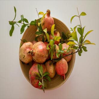 ¿cuánto tiempo dura un curso de nutrición holística online? - nutricion holistica