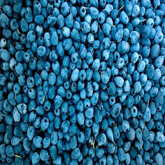 Curso online alérgenos e intolerancias alimentarias para residencias
