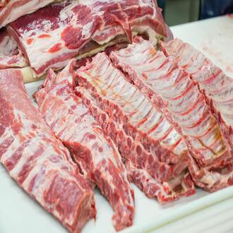 Alimentos permitidos dieta carnívora - nutricion carnivora