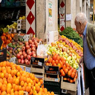 ¿cómo la nutrición puede mejorar la función cognitiva en adultos mayores? - nutricion geriatrica