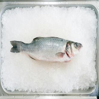 ¿cómo manejar los antojos en la dieta carnívora? - nutricion carnivora