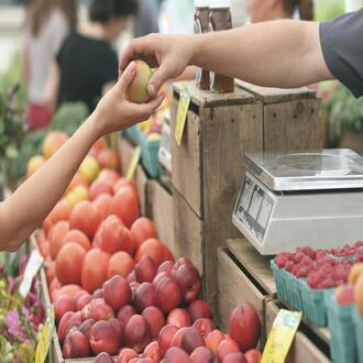Consideraciones éticas en la nutrición de personas mayores dependientes - nutricion geriatrica