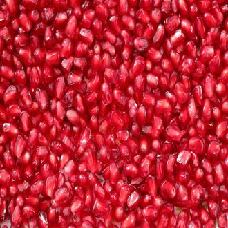 Curso online de nutrición cetogénica con materiales descargables - nutricion cetogenica