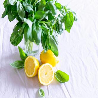 Curso online nutrición para endomorfos latinoamérica - dietas endomorfos