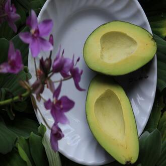 Dietas altas en proteínas para endomorfos - dietas endomorfos