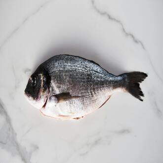 ¿es la dieta carnívora sostenible? - nutricion carnivora