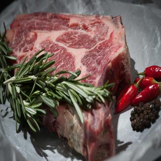 Grasas para dieta carnívora - nutricion carnivora
