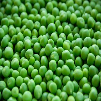 ¿hay foros para interactuar con otros estudiantes? - nutricion