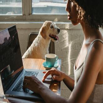 Oportunidades de cursos baratos: ¡tu futuro empieza aquí! -  cursos baratos online con certificado