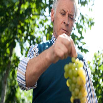 ¿qué señales de alerta indican que un adulto mayor necesita apoyo nutricional? - nutricion geriatrica