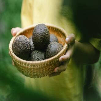 Sarcopenia y alimentación - nutricion geriatrica